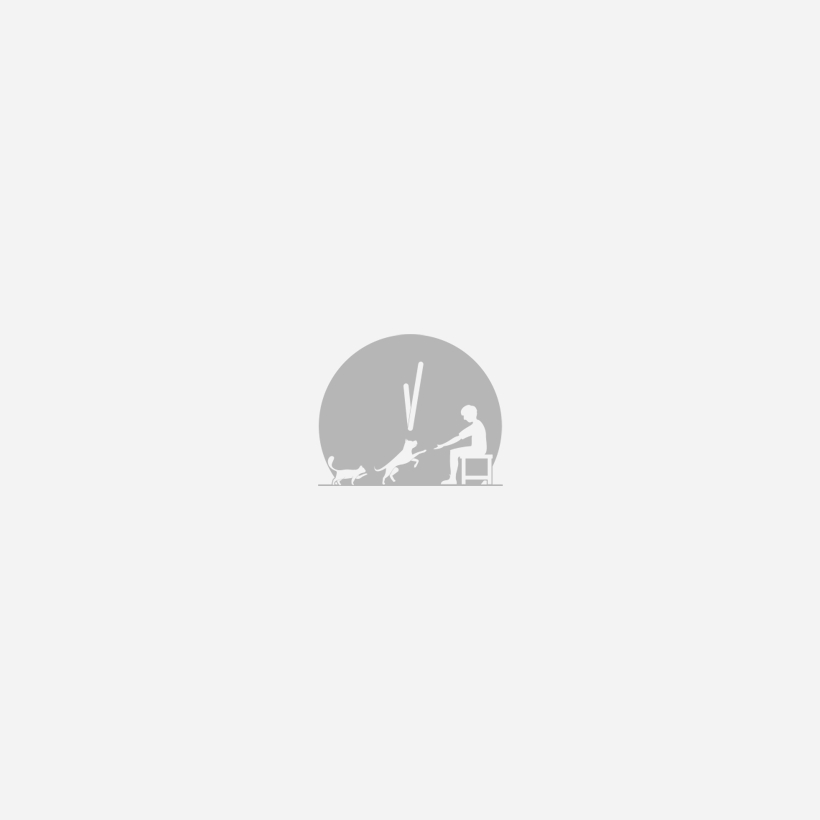 고창 풍천장어 (손질)